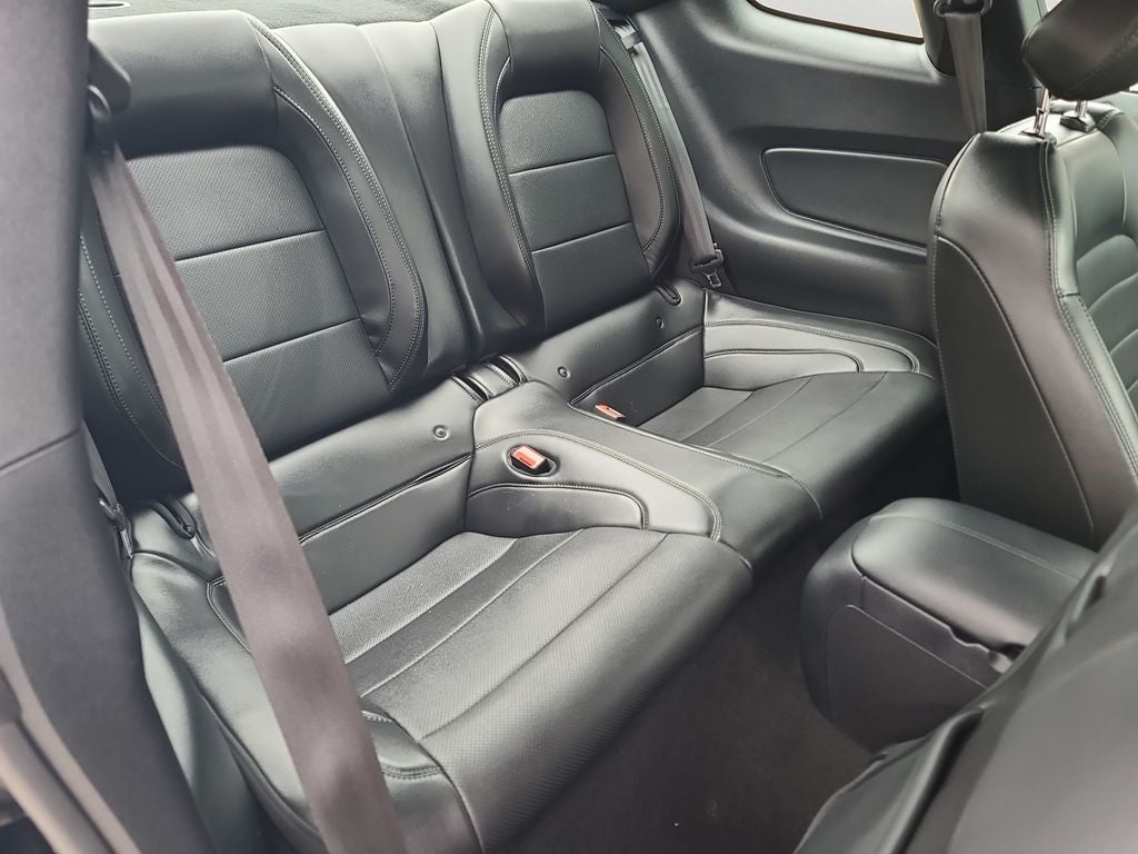 2019 Ford Mustang Bullitt