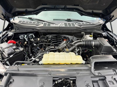 2025 Ford F-150 XLT 5.0 L V8