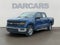 2025 Ford F-150 XLT 5.0 L V8